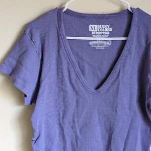 Big Bud Press Many Colors V-neck